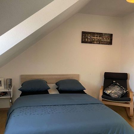 Joli Appartement Avec Place De Parking Prive 科尔马 外观 照片