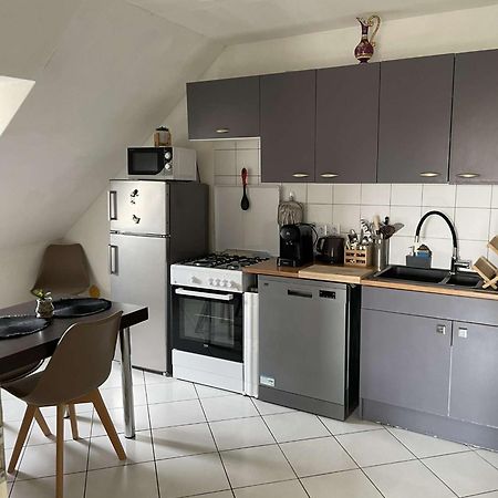 Joli Appartement Avec Place De Parking Prive 科尔马 外观 照片