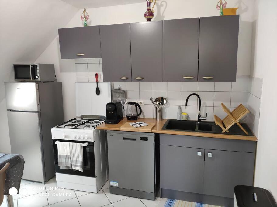 Joli Appartement Avec Place De Parking Prive 科尔马 外观 照片