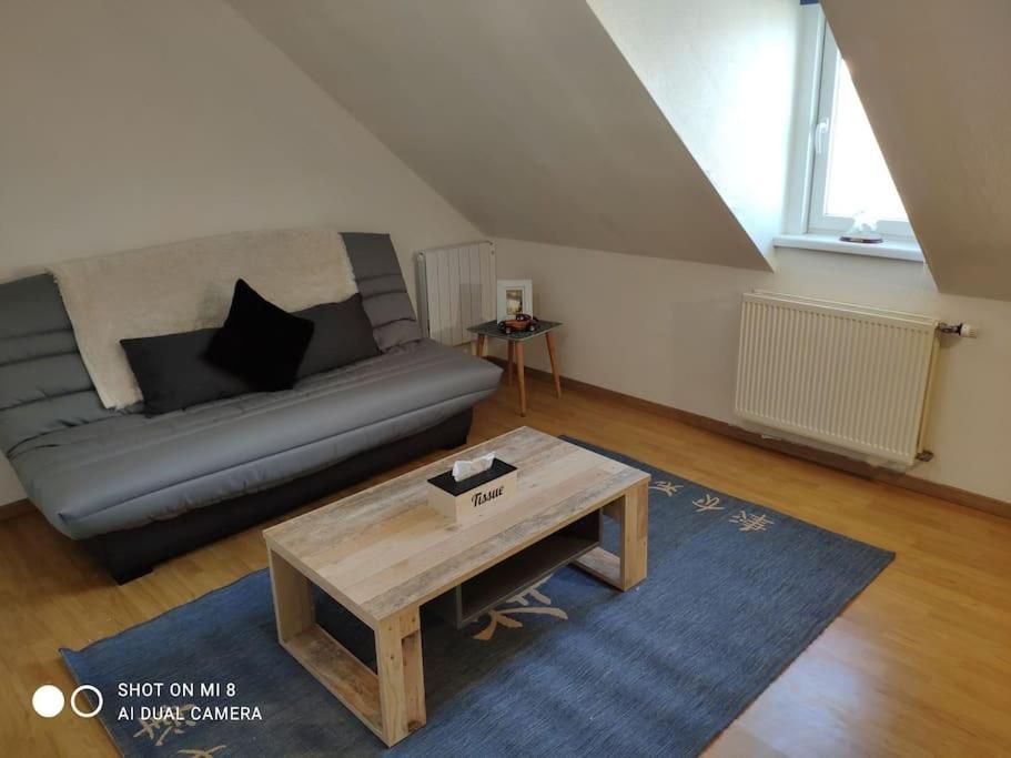 Joli Appartement Avec Place De Parking Prive 科尔马 外观 照片