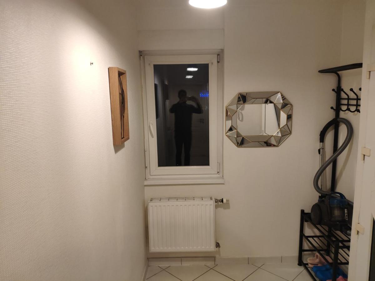 Joli Appartement Avec Place De Parking Prive 科尔马 外观 照片