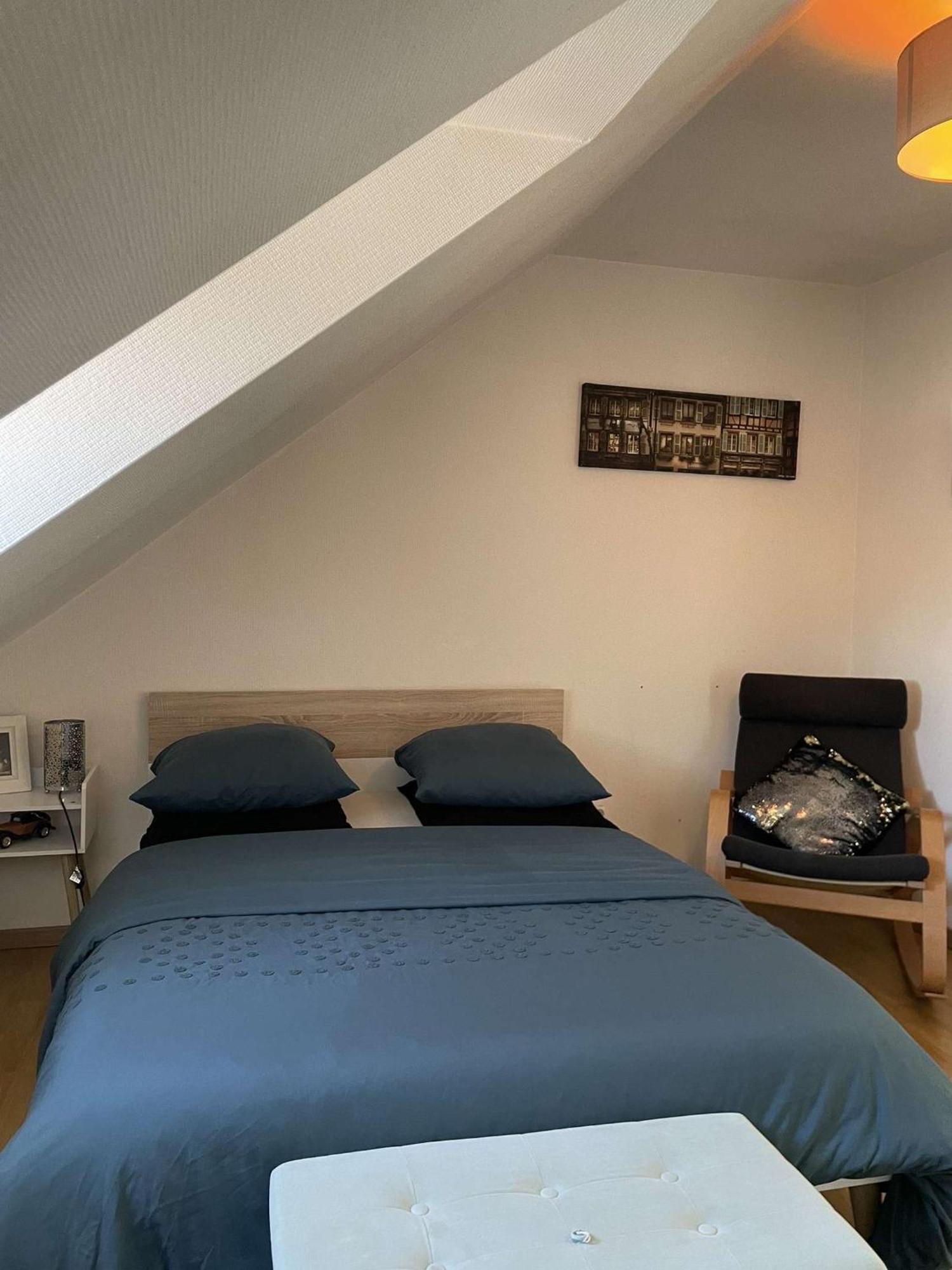 Joli Appartement Avec Place De Parking Prive 科尔马 外观 照片